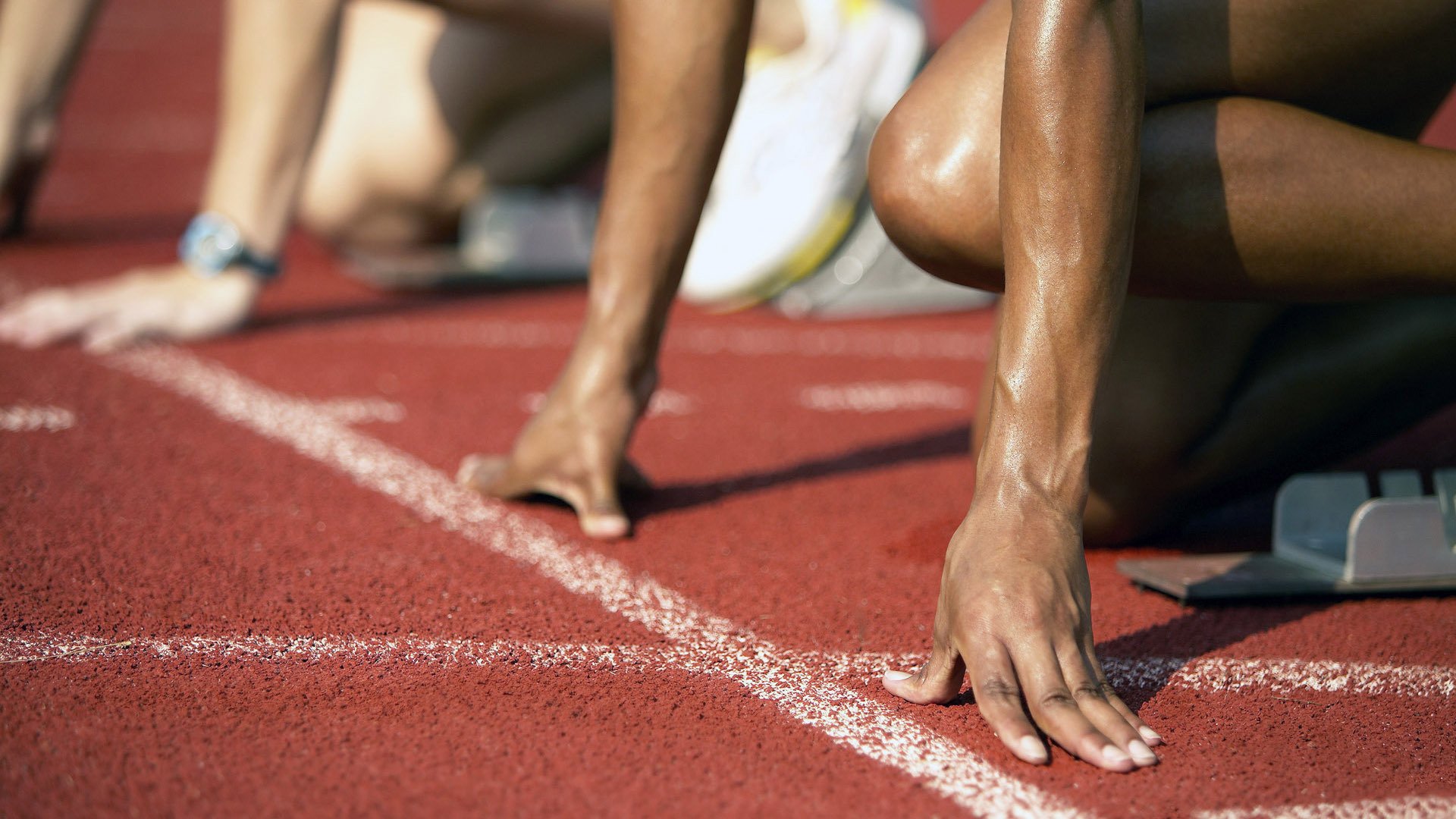 摔跤赛事观众人数增长，摔跤比赛现场